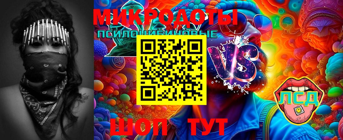 Галлюциногенные грибы GOLDEN TEACHER  Вход с VPN  купить наркоту  Чехов 